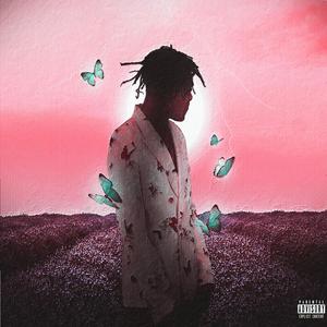 911行情网站电视在线看
