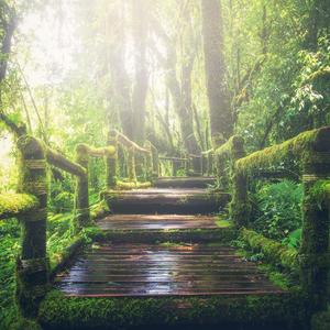 911行情网站电视在线看
